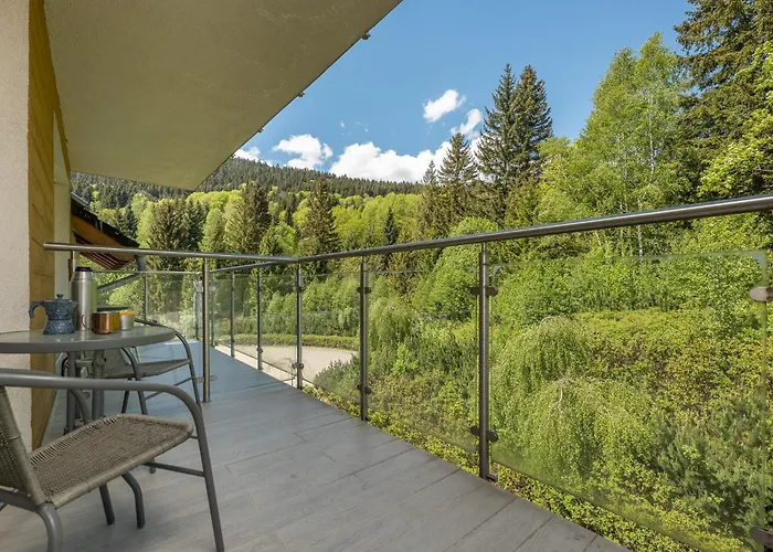 Livingo 28 Czarna Gora * 西恩纳